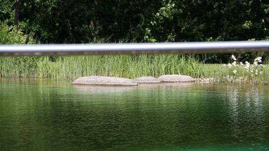 Swimming pond handrail